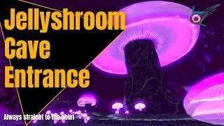 How to get to the Jellyshroom Cave | EASY & FAST