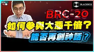 BRC-20大漲千倍 l 礦工收入2年新高 l CryptoPunks再現？ l 如何參與？ l 【#BlackboxAlgorithm #Dennis玩幣 #程式交易 #加密貨幣 # Crypto】