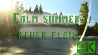 Calm summer river in Teton Park. Meditation and sleeping with natural water flow and forest sound.