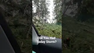 Wind Storm
