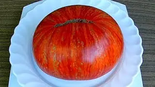 Don's Double Delight. Томат, Двойной восторг Дона