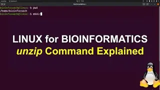 unzip  command Explained in Linux for  Bioinformatics