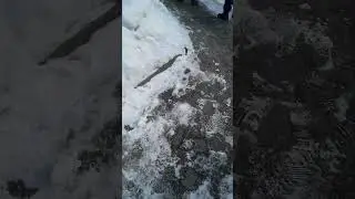 16 марта 2024 г.