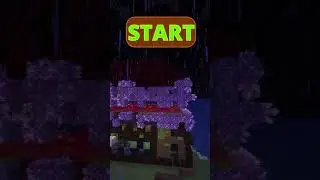 Minecraft Can You Spot Them