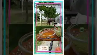 Ниим и Куркума за пълноценно здраве  