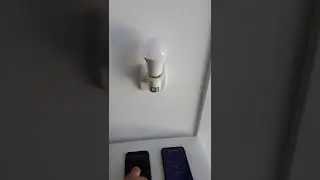 Denver SHL-350 WiFi Bulb Connected to Two SmartPhone and Google Assistant