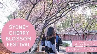 Sydney Cherry Blossom Festival 2017 @ Auburn Botanic Gardens