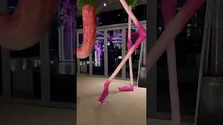 По ресторанам...