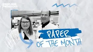 Paper of the Month: Preisträgerin Dr. Natalia Torow