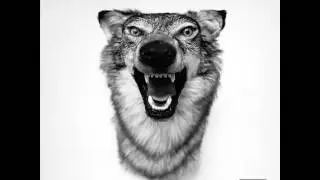Yelawolf - Disappear (Love Story)