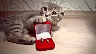 HOW TO MAKE OFFER marry