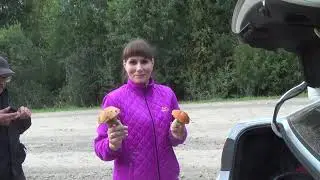 С Анжелой за грибами