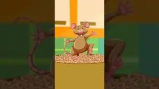 चूहों म्याऊ सो रही है - Chuho Meow So Rahi Hai | Poems #hindishortsvideos #hindipoemshorts