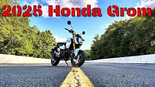 2025 Honda Grom First Impressions