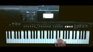 Rammstein - Diamant Keyboard Cover (Stadium Tour)
