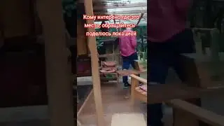 Ночевка в карете #ночевкавлесу #ночёвка #доммечты #путешествие #нормандия #лес #карета #домиздерева