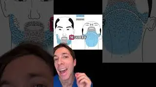 What is a Beard Hair Transplant? | Hair Surgeon Explains