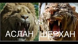 АСЛАН VS ШЕРХАН
