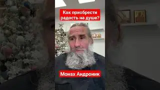 Как приобрести радость на душе? | Монах Андроник | Афон