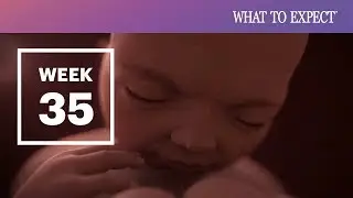 35 Weeks Pregnant - What to Expect Your 35th Week of Pregnancy