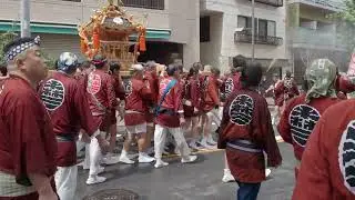 深川神明宮　例大祭　勇壮な水掛け祭　町神輿連合渡御（勢揃い）　2024/08/18  b2