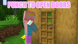 Adding Push and Pull Doors to Minecraft
