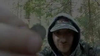 Разведка новых мест с камрадом ! Коп с ACE 250
