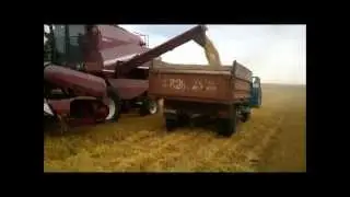 отгружаем на газике