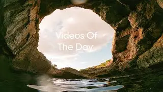 My Videos Of The Day