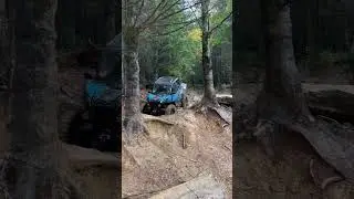 Maverick Sport XRC 