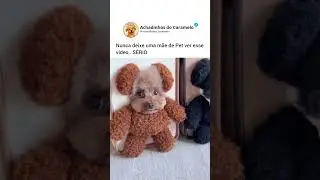 Gente que coisa mais fofaa 😍 