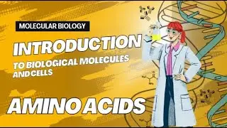 Amino Acids: The Building Blocks of Life