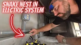Troubleshooting summer kitchen, also fixing outlets/ lighting, when we found abandon snake nest!🐍