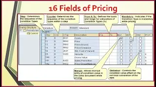 16 Fields of Pricing Procedure SAP SD