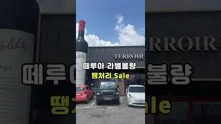 악명 높았던 장터에 제가 직접 가보았습니다! #떼루아 #떼루아와인아울렛 #와인행사 #와인 #라벨불량와인