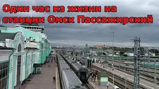 Один час из жизни на станции Омск Пассажирский.