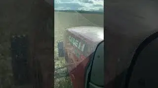 #case гоняет по полю
