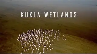Kukla Wetlands [Official Trailer] - 2017