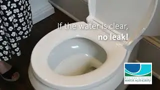 How to Check for a Toilet Leak