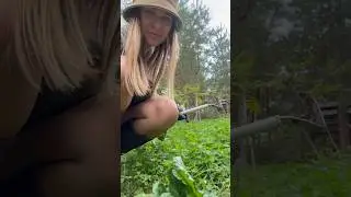 Мгновения моих будней, когда меня нет в Instagram