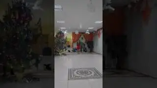 Мухаметова Лиана - Новый год(снежинки)