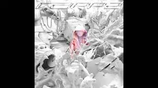 Boulevard_Depo_Big_Baby_Tape_-ЛЮДИ ДРЕССИРУЮТ ЛЮДЕЙ(BASSBUST)