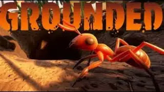 Помощник менеджера  grounded