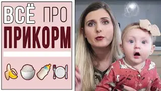Всё про прикорм| Первая еда младенца| МАМА ЗНАЕТ