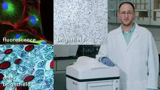 Agilent BioTek Lionheart FX and Lionheart LX Automated Microscopes – Experience a Better Perspective