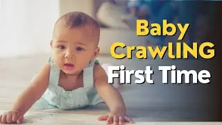 Babies Attempting to Crawl | How to Help Baby With Crawling
