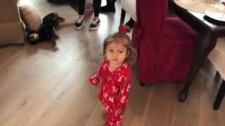 Denni Xmas