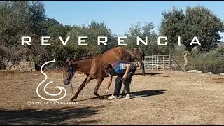 CÓMO ENSEÑAR LA REVERENCIA
