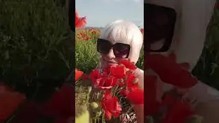 9 июня 2023 г.