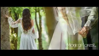 Magic Forest...